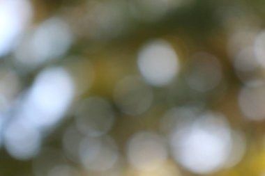 Yumuşak, bulanık ışık çemberleri içeren soyut bokeh arkaplan sessiz doğal bir arkaplan. Rüya gibi, ruhani bir görsel doku ve atmosfer yaratır..