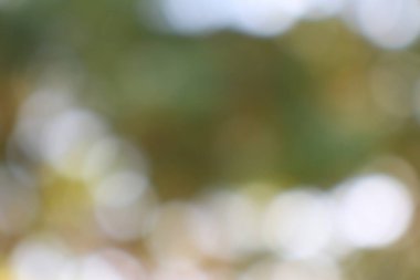 Yaprakların arasından süzülen benekli güneş ışığının soyut arkaplanı yumuşak bokeh ışık çemberleri ve barışçıl doğal bulanık bir etki yaratıyor..