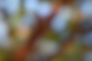 Yumuşak, bulanık kahverengi, yeşil ve açık mavi tonlarda bokeh daireler içeren soyut bir arka plan, rüya gibi, dağınık bir etki yaratır..