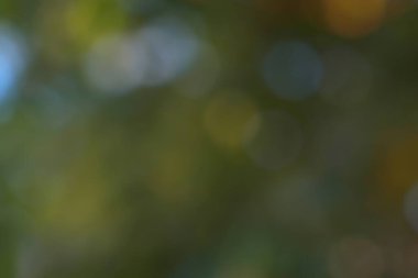 Yumuşak renkli ışık çemberleri içeren soyut bulanık arkaplan, kaplama veya grafik tasarım projeleri için ideal rüya gibi bir atmosferik etki yaratıyor. Işıltılı ince bokeh.