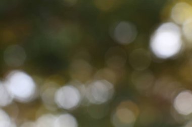 Yumuşak bulanık ışık çemberleri içeren soyut bir arkaplan. Yayılmış organik bokeh etkisi, doğadan esinlenilmiş ince renklerle sakin, rüya gibi bir atmosfer yaratır..