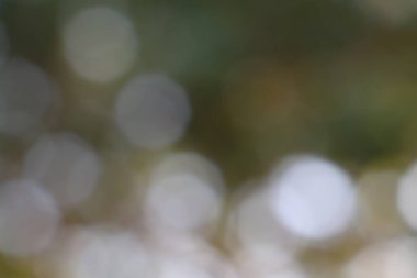 Rüya gibi bokeh ışıkları ve yumuşak odak bulanıklığı soyut bir arka plan efekti yaratır.