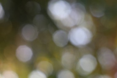 Yumuşak odaklı ışık çemberleri rüya gibi bir bokeh etkisi yaratır. Doğal renkleri ve ruhani atmosferi olan bulanık bir arka plan..