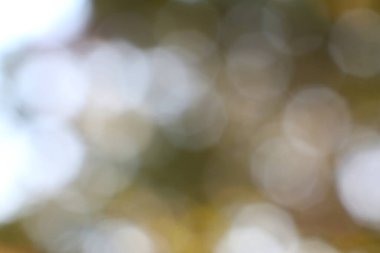 Yumuşak bulanık ışık çemberleriyle soyut doğa arka planı yumuşak bir bokeh etkisi yaratarak dinginlik ve sakinlik hissi uyandırıyor..