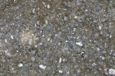 Yakından bakıldığında, küçük kayalardan oluşan kaldırımın karmaşık dokusu ve çeşitli renkleri, doğal ve işlenmemiş estetik ile işlenmemiş, ayrıntılı bir taş yüzeyi sunar..