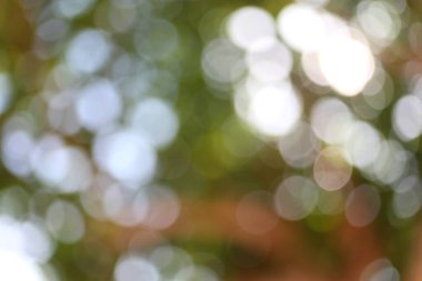 Göksel bokeh, yaprakların arasından süzülen güneş ışığını bulanıklaştırır, sakin ve canlı bir kompozisyon yaratır. Soyut elementler, yumuşak ışık ve renk etkileşimiyle huzurlu doğal güzelliği çağrıştırır.