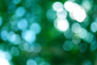 Bu büyüleyici görüntü, yeşil yapraklar arasında yumuşak ve bulanık bir bokeh etkisi yakalayarak, doğanın huzurunu ve güzelliğini çağrıştıran rüya gibi ve atmosferik bir görsel deneyim yaratıyor..