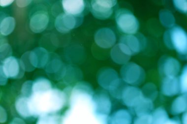 Yumuşak, bulanık bir efekte sahip bir orman gölgesinin soyut bir görüntüsü canlı yeşiller ve sakinleştirici deniz mavisi bokeh, sakin ve doğal olarak rüya gibi bir atmosfer izlenimi uyandırıyor..