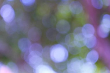 Büyüleyici bir bokeh arkaplanı, soluk yeşil, menekşe ve mor renkler sergiliyor, büyüleyici ve yumuşak bir görsel dokuyu tuhaf bir efektle donatıyor..