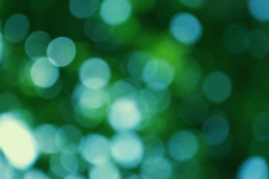 Yumuşak yeşil ve deniz mavisi renkleri ile bokeh efekti içeren büyüleyici soyut bir görüntü sükunet ve büyüleyici bir atmosfer hissi uyandırıyor..