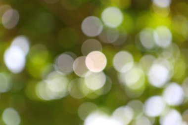 Yeşil ve beyaz bokeh 'in güzel bir etkileşimini gösteren soyut arkaplan, bir orman tepe örtüsünün içinden süzülen benekli güneş ışığını anımsatan huzurlu ve ruhani bir sahne oluşturuyor..