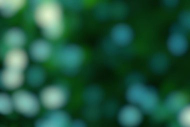 Yumuşak bir odak, yemyeşil arkaplan ve ruhani bokeh efektleri içeren soyut bir görüntü rahatlatıcı ve görsel olarak çekici bir atmosfer yaratır..