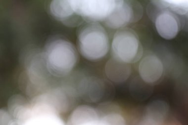 Bulanık bir arkaplanın özünü yakalayan soyut bir görüntü ve bokeh efektleri çeşitli tasarımlar için uygun canlı ve rüya gibi bir atmosfer yaratıyor.