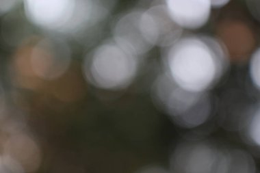 Bulanık bir bokeh etkisi gösteren, yumuşak, dairesel ışık desenlerini vurgulayan, sakin bir atmosfer yaratan büyüleyici bir soyut görüntü.