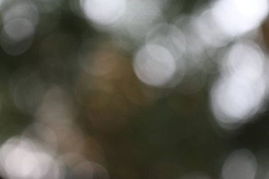 Bu bulanık, yumuşak ve rüya gibi bir etkisi olan soyut bir bokeh görüntüsü, kompozisyonunda derinlik ve ruhani bir ışık hissi yaratıyor..