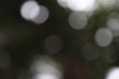 Yumuşak bokeh ışığı ve karanlık gölgelerin oluşturduğu rüya gibi, soyut bir kompozisyon görsel ve atmosferik bir etki yaratıyor.