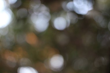 Bu resim bokeh efektli yumuşak bir odak noktası yakalar. Bulanık ışık küreleri ve doğa ya da atmosferik koşulları gösteren renkler içerir.