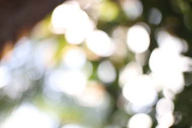 Parlak ışık ve bulanık formlarla yumuşak ve rüya gibi bir bokeh efekti gösteren, estetik bir kompozisyon oluşturan görsel olarak çekici bir görüntü.