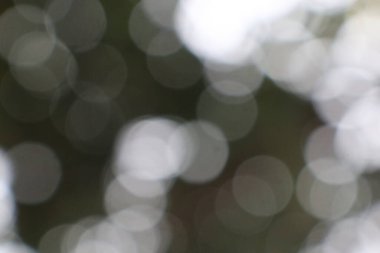 Bu soyut resim yumuşak odak çemberleri ile bir bokeh etkisi gösterir rüya gibi bir atmosfer ve arkaplan yaratır