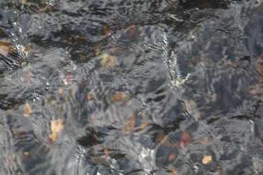 Su ve çakıl taşları arasındaki güzel etkileşimi gösteren yakın çekim. Görüntü suyun sakin akışını su altındaki çakıl taşlarıyla gösteriyor.