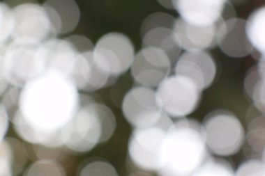 Yumuşak, bulanık ışık küreleri ile soyut bokeh fotoğrafçılık, arka plan ve örtüler için uygun rüya gibi ve ruhani bir görsel efekt oluşturur