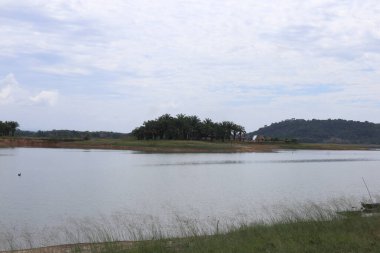 Ağaçlarla kaplı bir adayı çevreleyen uçsuz bucaksız bir su bulutlu bir gökyüzü altında sükunet ve doğal güzellik hissi yaratıyor.