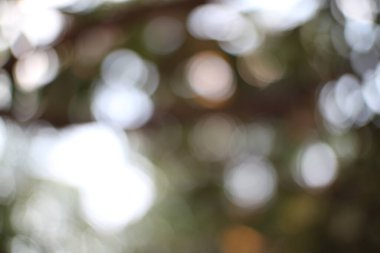 Yumuşak bokeh etkisine sahip soyut bir arkaplan, bulanık ışık ve renkler, doğanın yumuşak ve rüya gibi bir atmosferini yaratıyor.