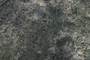 Nötr renk paletinde doğal elementlerin bir karışımını gösteren dokulu bir zemin yüzeyinin yakın görüntüsü organik ve görsel olarak bağlanan bir desen oluşturuyor.