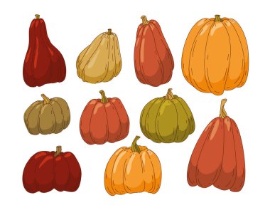 Sonbahar hasadı. El yapımı balkabaklarıyla hazırlanmış. Sağlıklı yaşam tarzı.