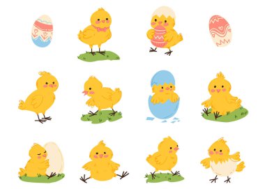 Paskalya için bir çift şirin tavuk çizimi. Beyaz arka planda izole edilmiş sarı neşeli tavuklar. El çizimi biçim illüstrasyonu