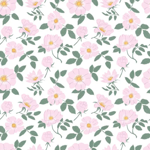 Rosehip Groves 'da pürüzsüz desen. Beyaz arka planda pembe gül çiçekleri. Tomurcuklar, yapraklar, çiçekler. Tekstil, Tasarım, Paketleme, Arkaplan