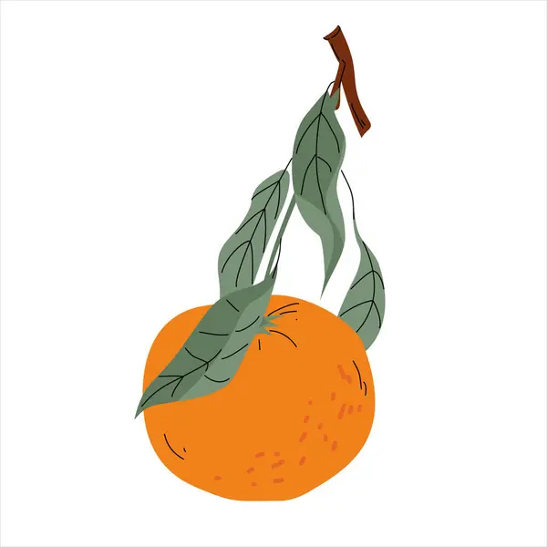 Yaprakları ve sapı olan bir portakalın minimalist vektör çizimi, beyaz üzerinde taze ve organik bir görünüm sergiliyor..