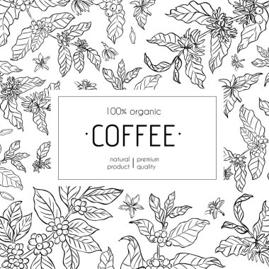 Sade ve beyaz kahve paketleme tasarımı. El yapımı kahve bitkisi dalları, fasulyeler ve zarif bir temalı çiçekler..