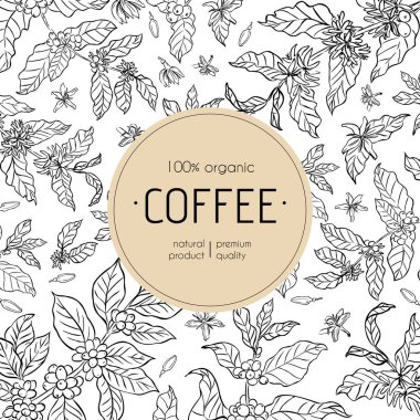 Beyaz arkaplanlı kahve bitkilerinin el yapımı botanik çizgileri üzerine kurulu modern bir kahve paketleme tasarımı..