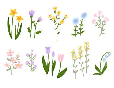Illustration of various wildflowers and spring blossoms in pastel colors. A beautiful botanical collection perfect for decorations, patterns, and design