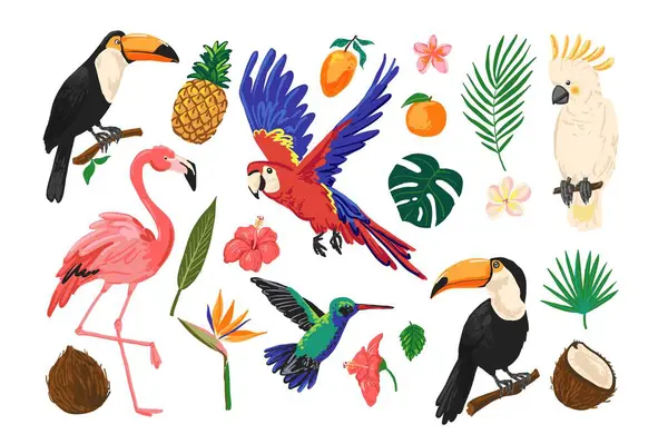 Tropik kuşlar ve egzotik meyveler. Tukanlar, papağanlar, flamingolar, papağanlar, sinekkuşları ve beyaz üzerine renkli bitkiler içerir.