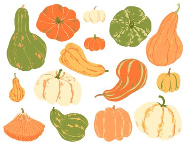 Renkli sonbahar balkabaklarının ve kabakların çeşitli şekil ve dokularda el yapımı koleksiyonu. Beyaz arka planda mevsimsel botanik çizimleri. Sonbahar dekorasyonu ve hasat tasarımı için mükemmel..
