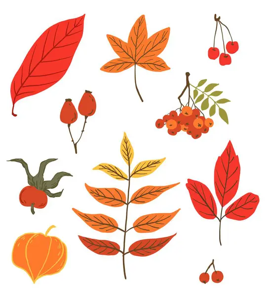Kırmızı ve portakal yaprakları ve böğürtlen. Sancaklar için sonbahar süslemeleri, ambalaj kağıtları, kartpostallar, el ilanları. Merhaba sonbahar