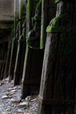 Yosun ve Paslı Terk Edilmiş Yapı