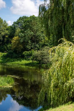 Bereketli yeşil bir parkta sakin bir nehir.