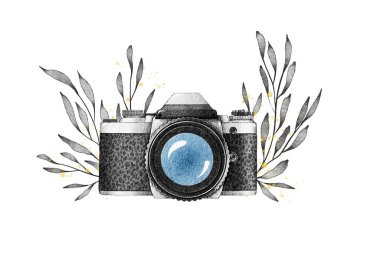 Suluboya Vintage Kamera. Beyaz arkaplanda bitki dalları olan suluboya kamera