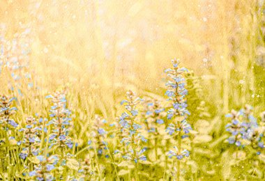 Suluboya yumuşak güneş ışığı, bahar zamanı canlı bir çayırda açan mavi çiçekleri aydınlatır.