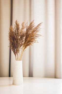 Decorative dried grass arrangement in a textured vase on a minimalist table with soft curtains in the background clipart