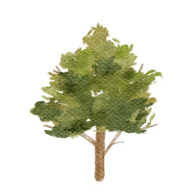 Yeşillik yeşili bir ağacın suluboya çizimi ve basit bir sanat tarzında dayanıklı bir gövde.