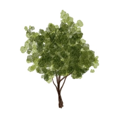 Doğanın güzelliğini ve basitliğini gösteren beyaz bir zemine karşı tek başına duran canlı yeşil ağaç.