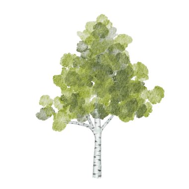 Bereketli yeşil bir ağacın suluboya tasviri doğal güzelliği ve sadeliği sergiliyor.