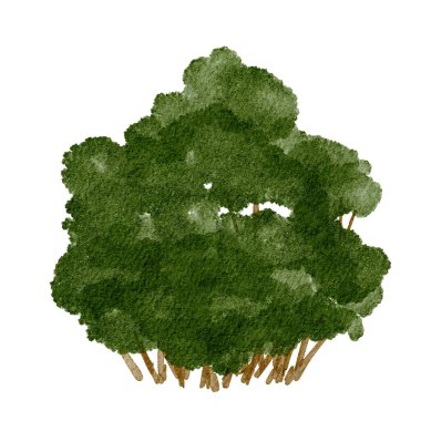 Parlak gün ışığında, sakin bir manzarada, doğa tarafından çevrili yemyeşil çalılar.