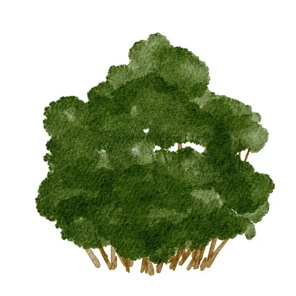 Parlak gün ışığında, sakin bir manzarada, doğa tarafından çevrili yemyeşil çalılar.