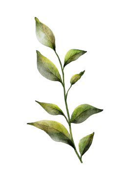 Bu sanat eseri, doğanın basit zarafetini vurgulayan yeşilin değişik tonlarıyla zarif bir yeşil yaprak dalı sunar. Bitki severler için mükemmel..