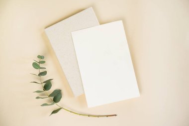 Boş kağıtlar ve dokulu bir sayfa, yeşil bir okaliptüs dalının yanında, yaratıcı projeler için rahatlatıcı ve cezbedici bir çalışma alanı oluşturan yumuşak bir yüzeye uzanıyordu..